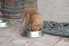 First outing - 2